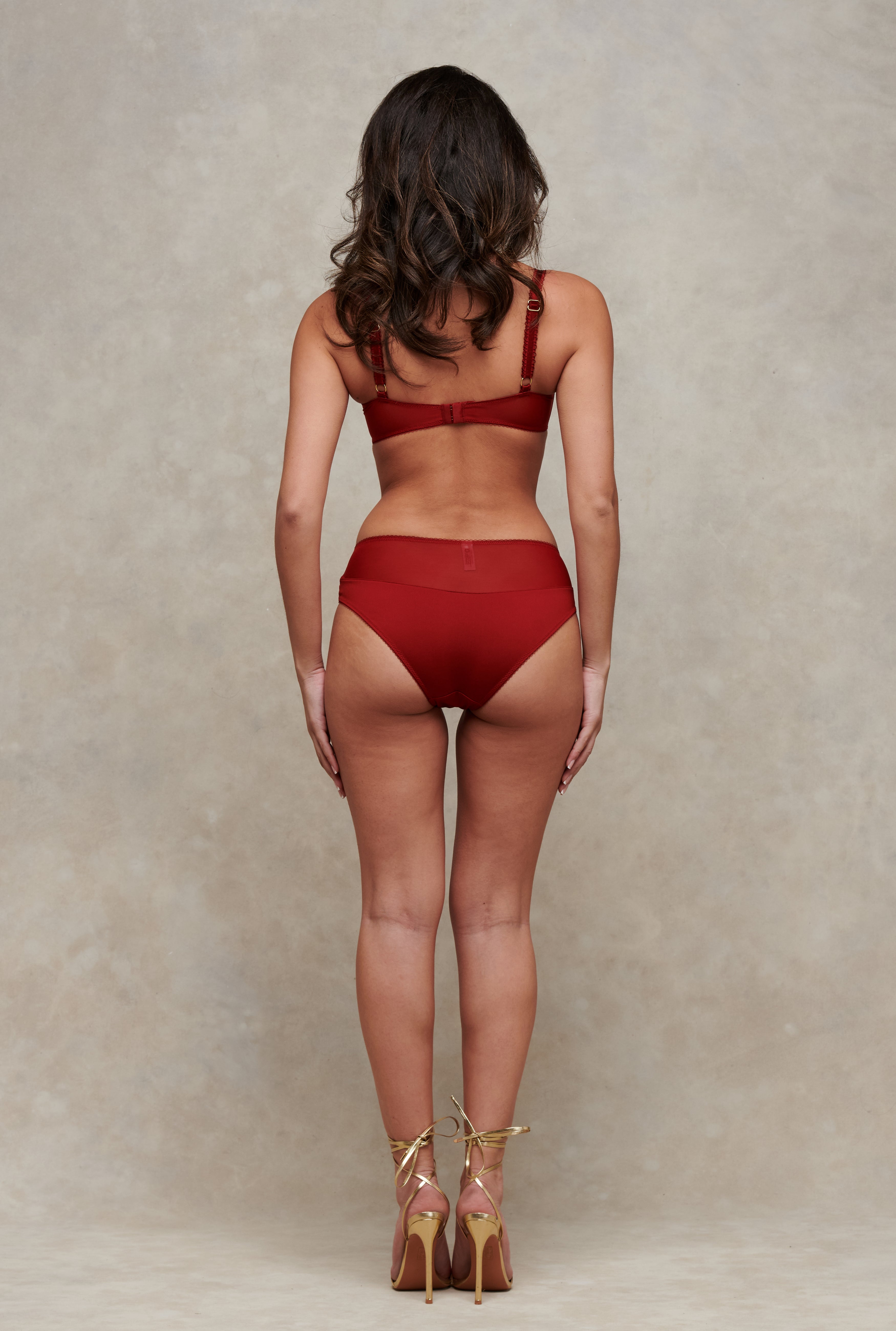 Wardrobe Mistress Red Microfibre and Mesh Knicker Women’s Underwear