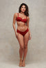 Wardrobe Mistress Red Microfibre and Mesh Knicker