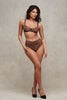 Spotlight Leopard Mesh Knicker